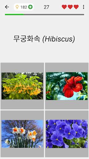 꽃 퀴즈 : 아름 다운 식물에 대 한 식물 퀴즈 screenshot 4