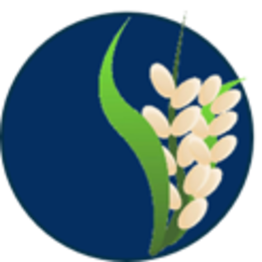 VKS CAPI - Bravo 1.0.0.T13 icon