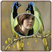 Birds Photo Frames 1.0