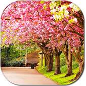 Spring Wallpapers 2018 1.1
