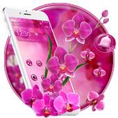 Pink Orchid Spring Flowers Theme 1.1.2