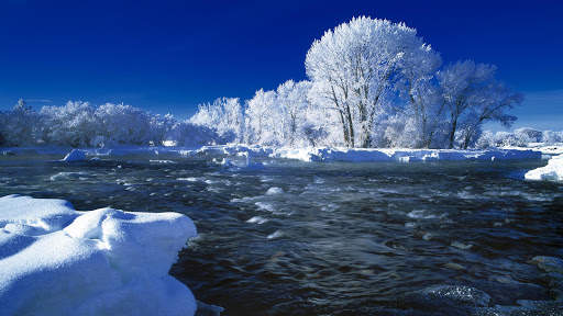 Winter Wallpapers : backgrounds hd screenshot 16