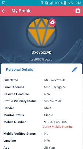 Job Portal screenshot 3