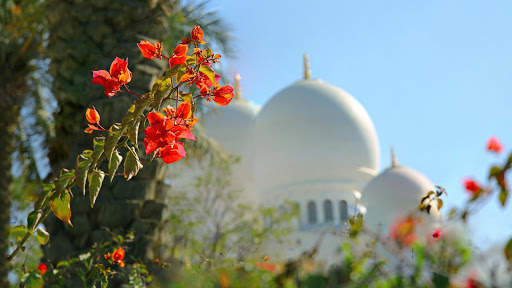 Mosque Live Wallpaper : 7fon & LWP screenshot 6