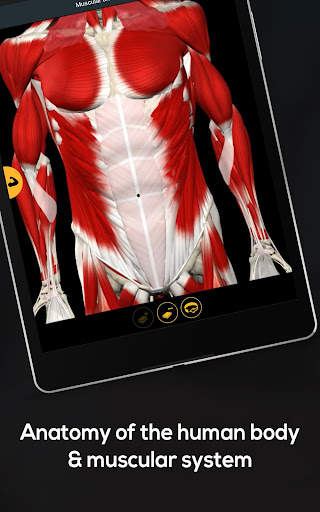 Anatomy by Muscle & Motion screenshot 11