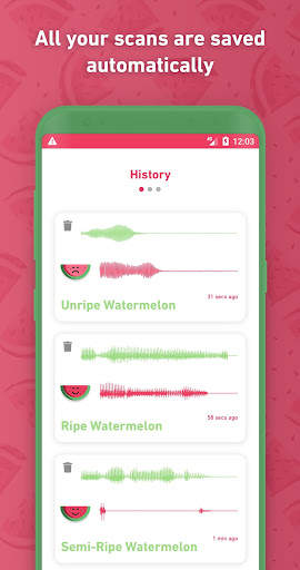 Melony: World First Watermelon Ripeness Detector screenshot 2