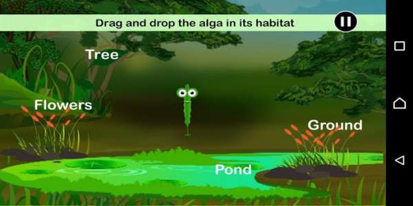 CSD - Algae screenshot 2