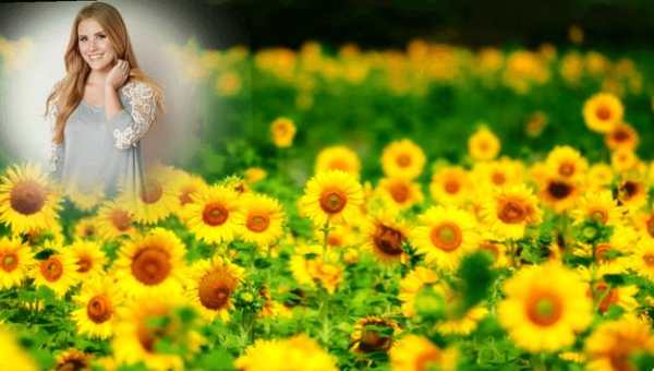 Nature Photo Frames screenshot 1