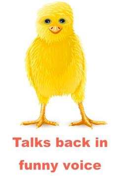 Talking Chicken screenshot 2