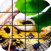 Snake Puzzle Games logo