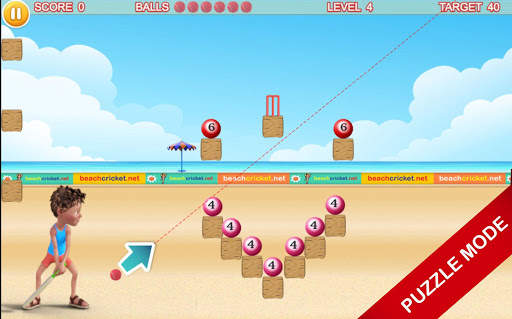 Beach Cricket screenshot 3