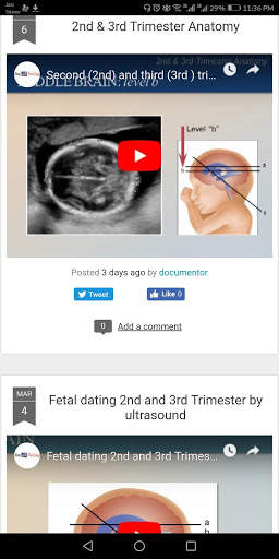video ultrasound course screenshot 7