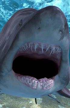 Shark Attack screenshot 4