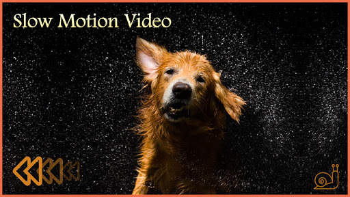 Slow Motion Video Maker screenshot 3