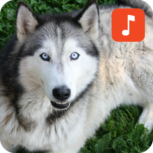 Talking Dog Sounds icon