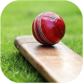 Cricket Info icon