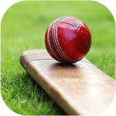 Cricket Info 2.0