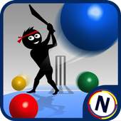 Googly Cricket 1.8