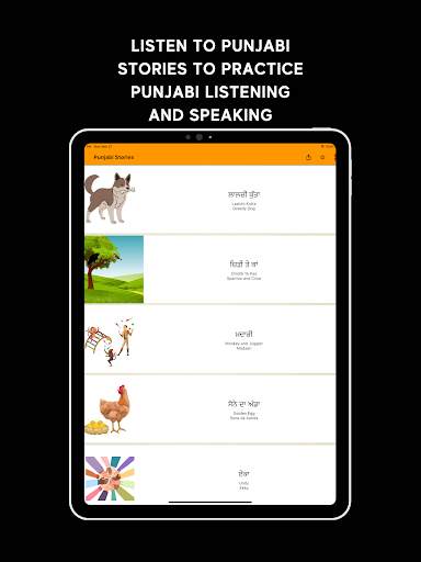 Learn Punjabi screenshot 14