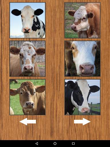 Funny Cow Farm Sounds screenshot 9