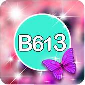 b613 selfie - camera editor 1.1