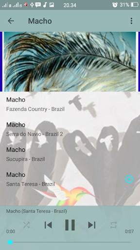 Canto Fêmea de Curio screenshot 5