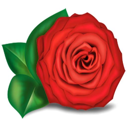 Happy Rose Day Wishes 1.5