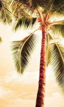 Palm Tree Wallpapers screenshot 2