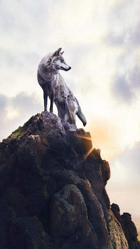Galaxy ice wolf live wallpaper screenshot 6