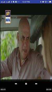 Pakistani Zemtv screenshot 10