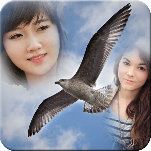Birds Mulit Photo Frame иконка
