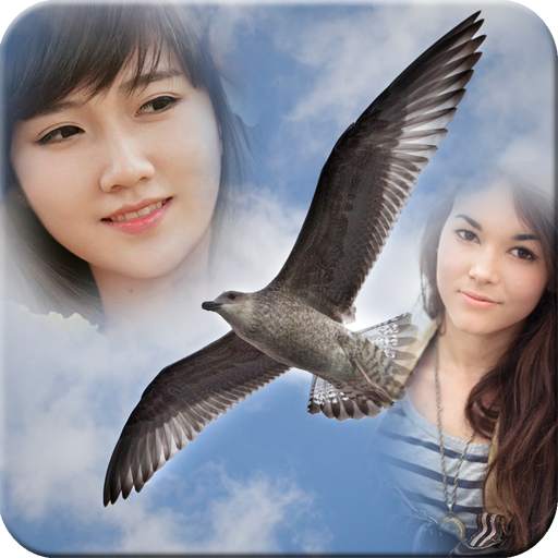 Birds Mulit Photo Frame 1.2