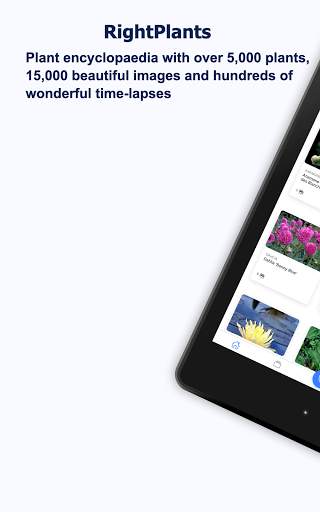 Right Plants screenshot 8