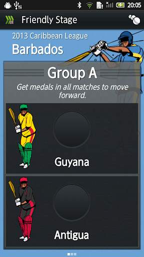Hit Wicket Cricket - West Indies League Game screenshot 1