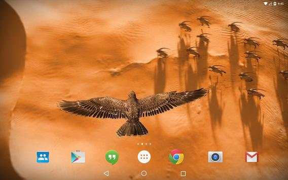 Heavenly Bird Fly Live Wallpap screenshot 7