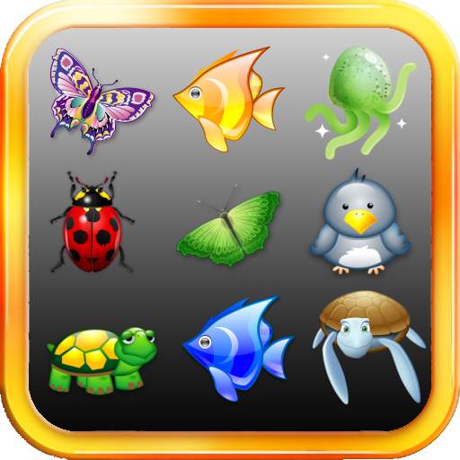 Onet Classic 2.5