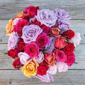 Beautiful Roses screenshot 6