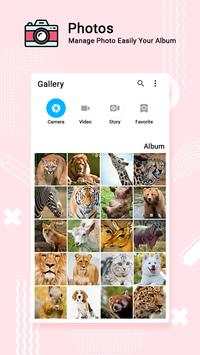 Gallery -Photos & Videos screenshot 1