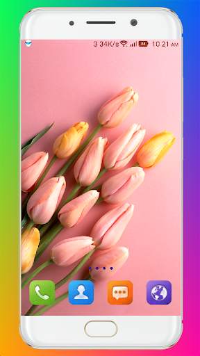Tulip Wallpaper HD screenshot 6