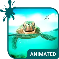 Cute Turtle Animated Keyboard + Live Wallpaper icon