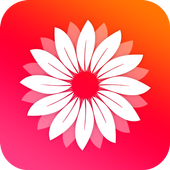Gallery  2019 icon