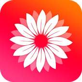 Gallery  2019 on 9Apps