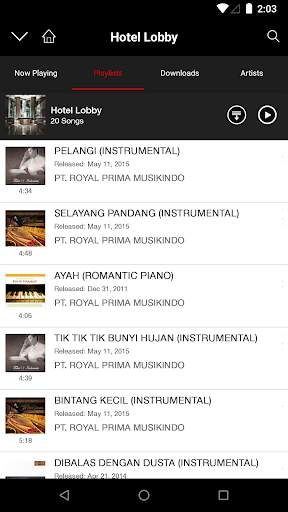 Musik Hub screenshot 3