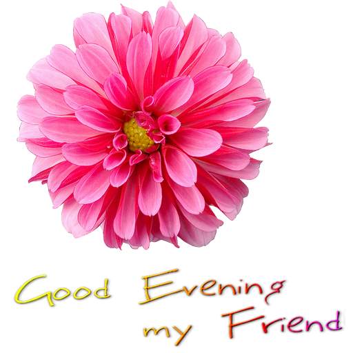 Good Evening sticker Night SweetDream for WhatsApp screenshot 5