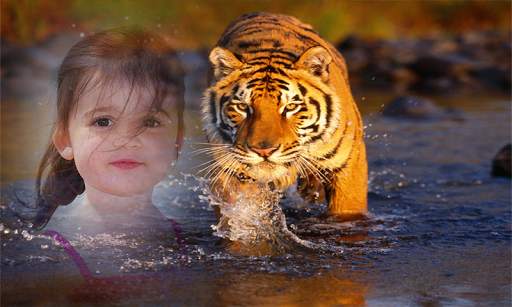 Tiger Photo Frame screenshot 2