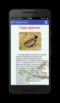 Sparrow Birds स्क्रीनशॉट 6