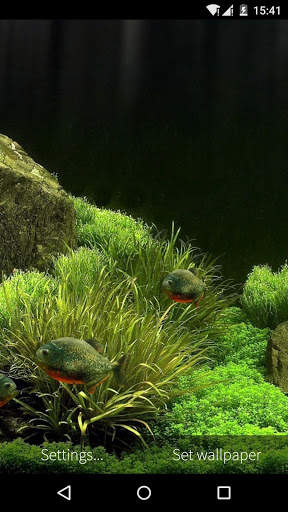 3D Fish Aquarium Wallpaper HD screenshot 4