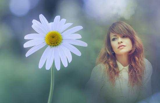 Daisy Flower Photo Frames screenshot 3