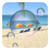 Camera Theme icon