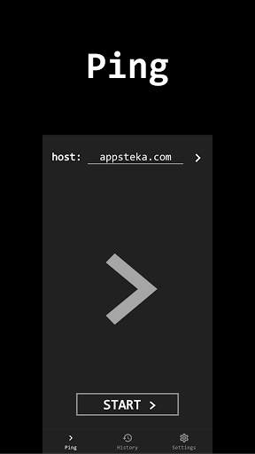 Ping screenshot 1